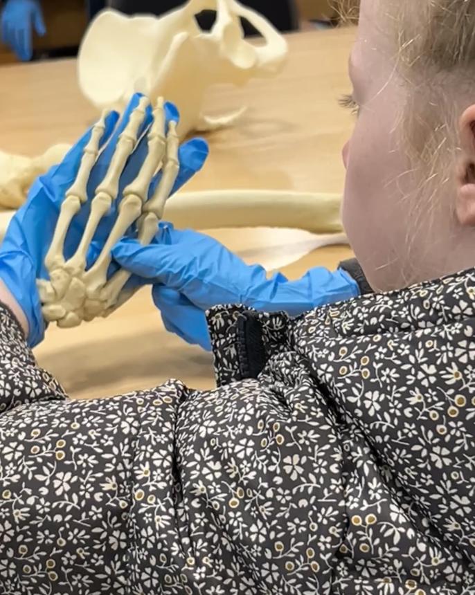 They got "hands-on" experience with history while holding skeleton replicas.