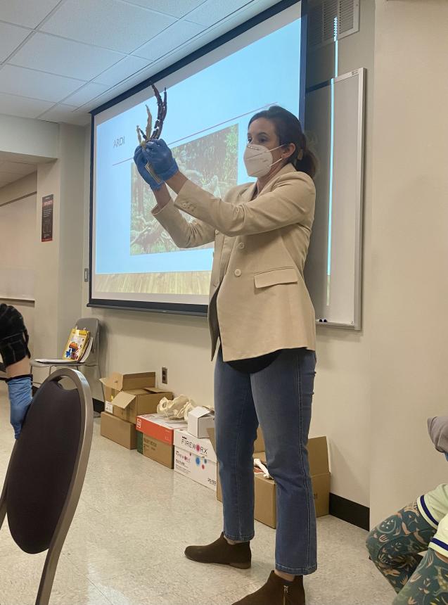 Dr. Laurie Reitsema holds up an ape and a human hand, showing the kids how hands are similar and different across species. 