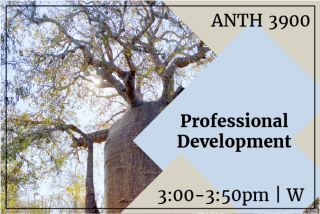 flyer with catalog description placed over blue and tan diamonds over image of tree against clear sky background