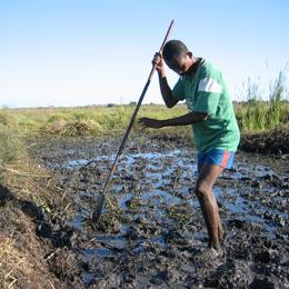 Masikoro_rice_farmer, Madagascar