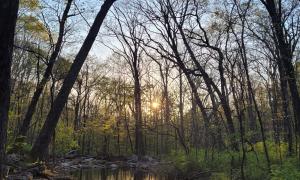 Justice Britton: “Water is the Best Medicine” (Fagan Spring - Huntsville, Alabama) Fagan Spring is fed by an underground river flowing through a network of sinkholes and sinking streams. This special place heavily influenced my desire to study the relationships between Cherokee people, caves, and water.