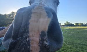 Marcie Demyan: The Oklahomie