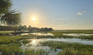 Marcie Demyan: A day on Ossabaw Island