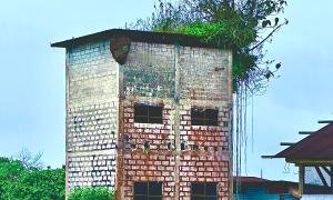 Louisiana Lightsey: Frontier Assemblages: Historic abandoned "trapiche" (sugar cane mill) merging with nature in a frontier town, Ecuadorian Amazon.