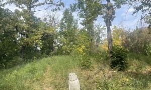 Shelby Linton: Сакский курган — A burial mound of the Saka tribe