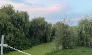 Bronwyn Matlick: Canal near the Panzio in Vesztö, Hungary