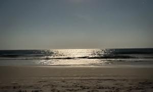 Cheyenne Mitchell: The Greeks Were Right About Aphrodite