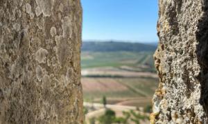 Eric Newman: A View from the fortress-city of Obidos, City of Templars