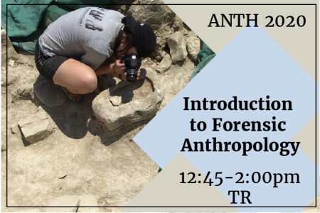 flyer with catalog description placed over blue and tan diamonds over image archaeology site with person taking photograph