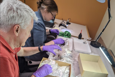 Dr. Sturt Manning and Dr. Brita Lorentzen selecting samples from collections found in archeological sites in the St. Lawrence Valley.