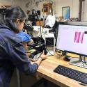 Seungyeon Hong examines a wood sample through a high-powered microscope in a laboratory setting. The microscope is connected to a computer displaying a magnified cross-section of the sample, showing pink-stained cellular structures. The lab bench is equipped with a keyboard, mouse, and other tools, and shelves and lab equipment are visible in the background